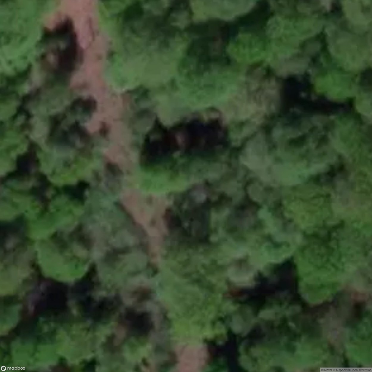 Old Speculation [GBR]