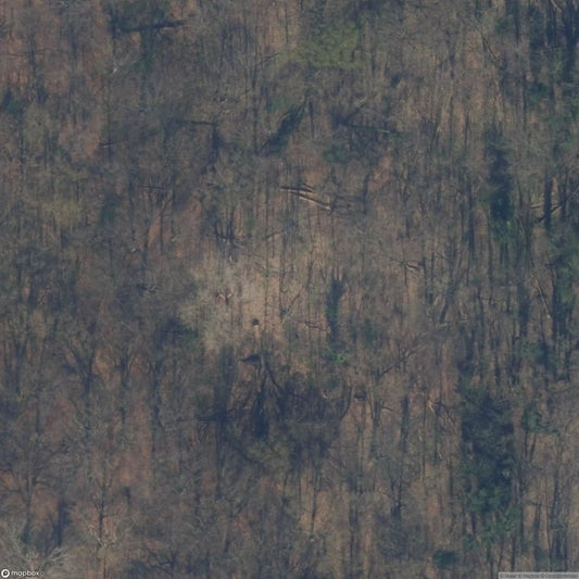 Staalduinse Dunes [NLD]