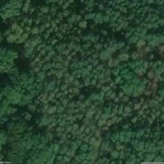 Factory ammunition [POL]