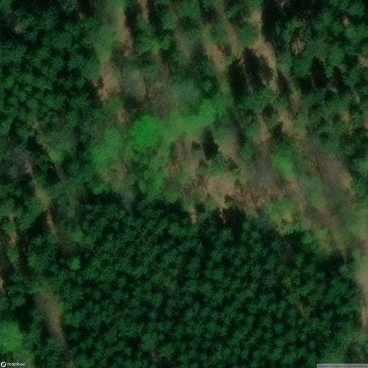 Mały Włodarz [POL]