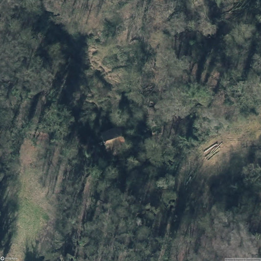 House in the Forest [DEU]