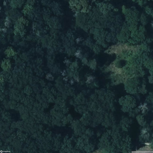 Military Training Area 1 [DEU]