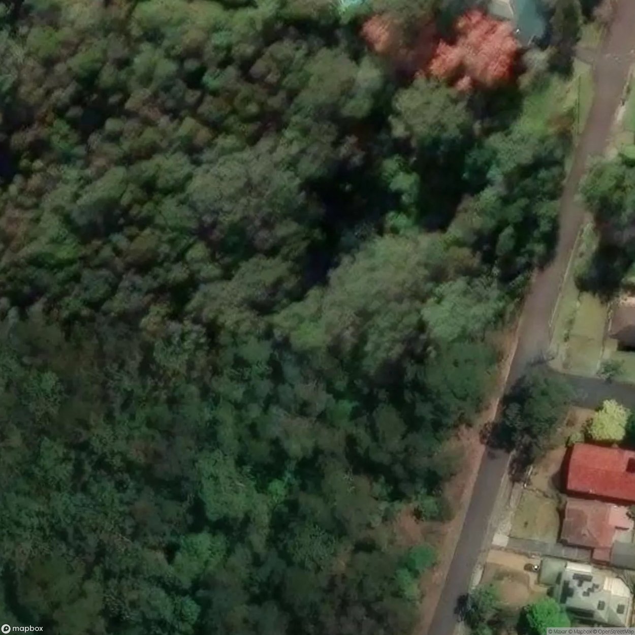 Frankenstein Sewer [AUS]