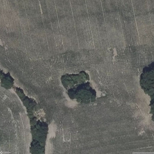 Ruins (private) [FRA]