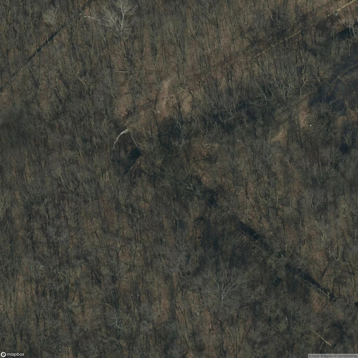 Abandoned Air Defense Site Dobra [POL] #32065