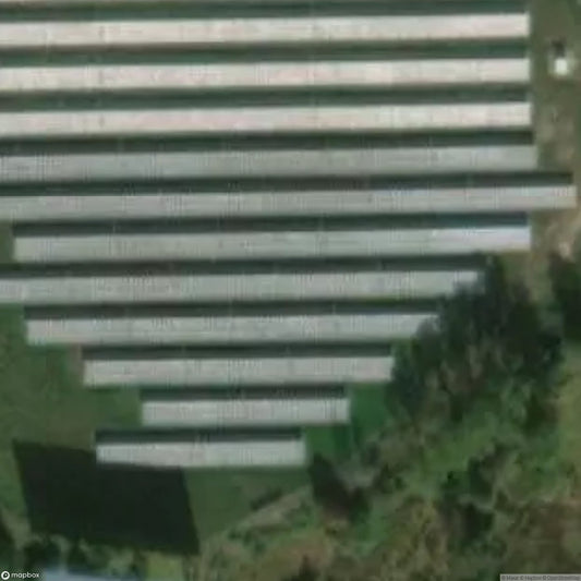 Drive In Cinema [DEU]