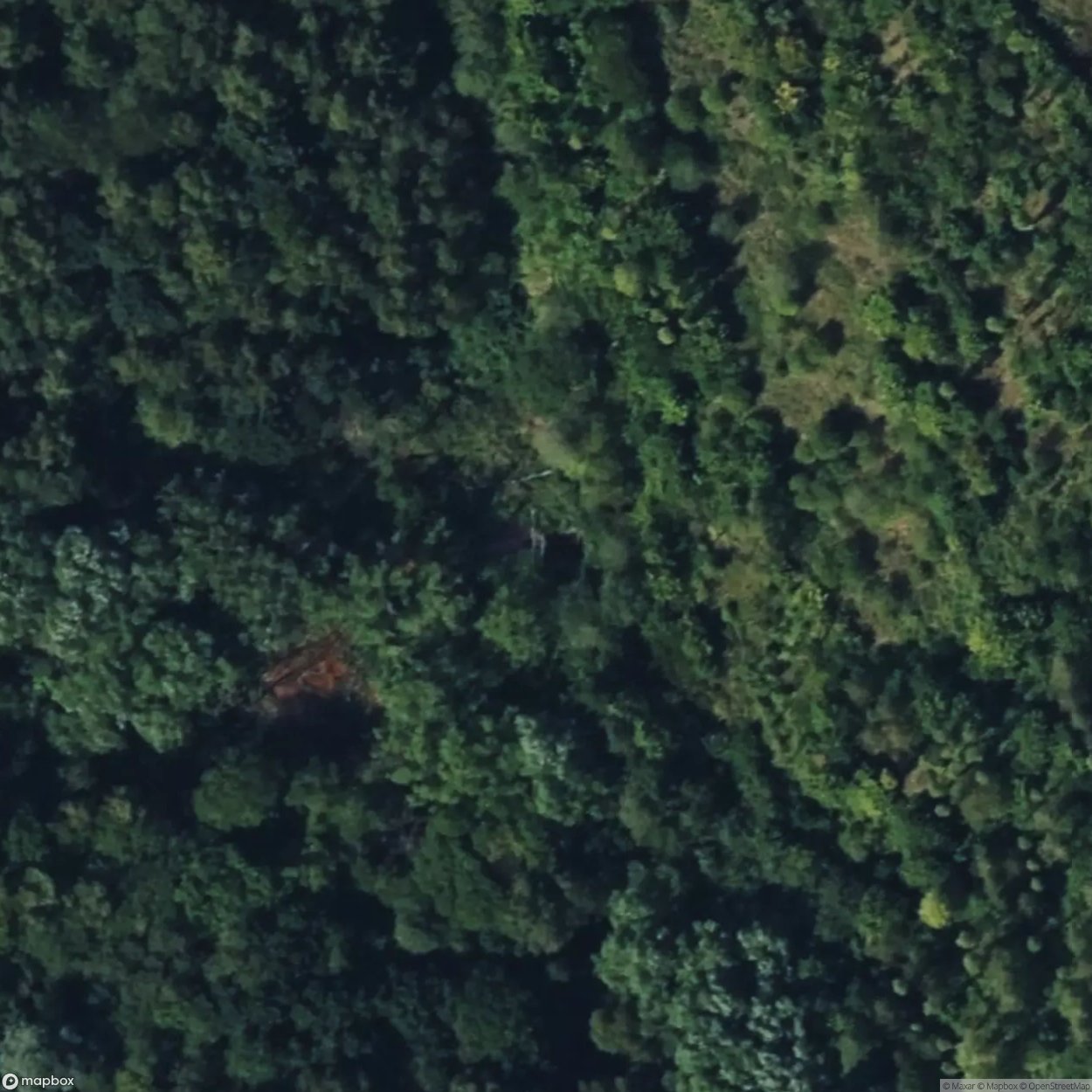 The Decepticon [GBR]