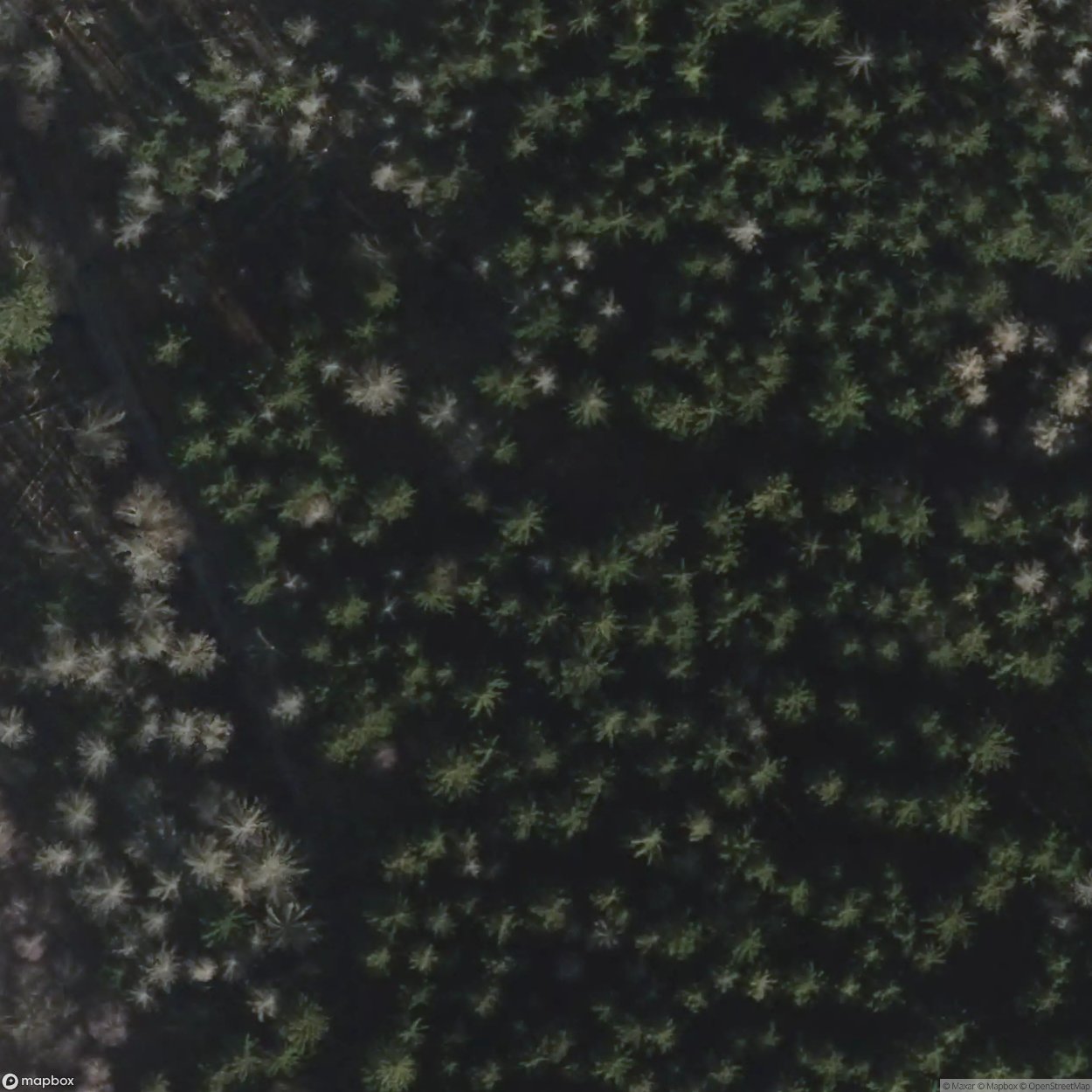 Village in the Woods [DEU]