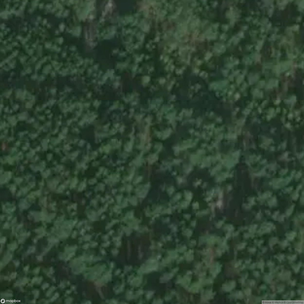 Explosives Factory [POL]