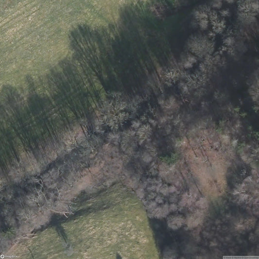 Hürtgenwald / Westwall Bunker [DEU]