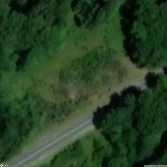 Gas Station 10 [DEU]