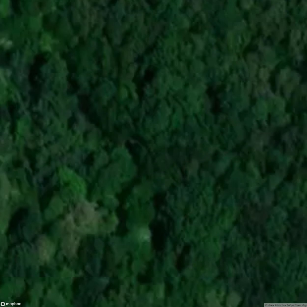 Historic Cemetery Czestochowa [POL] #35803