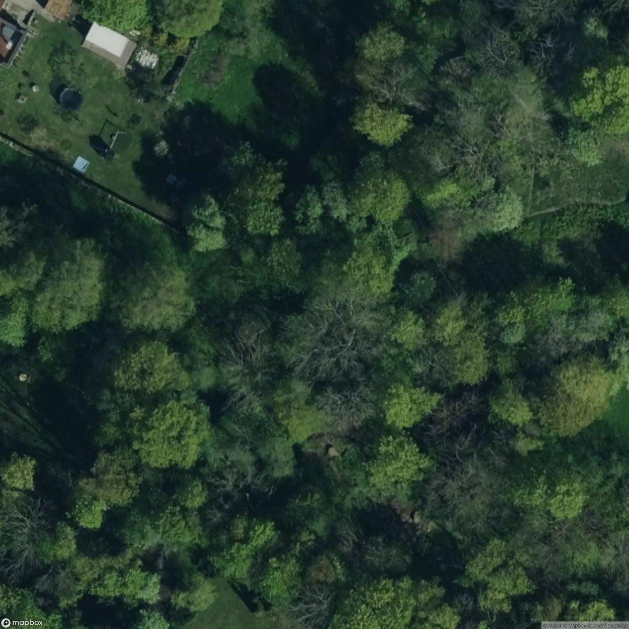 Ruins of Limekiln [EST]