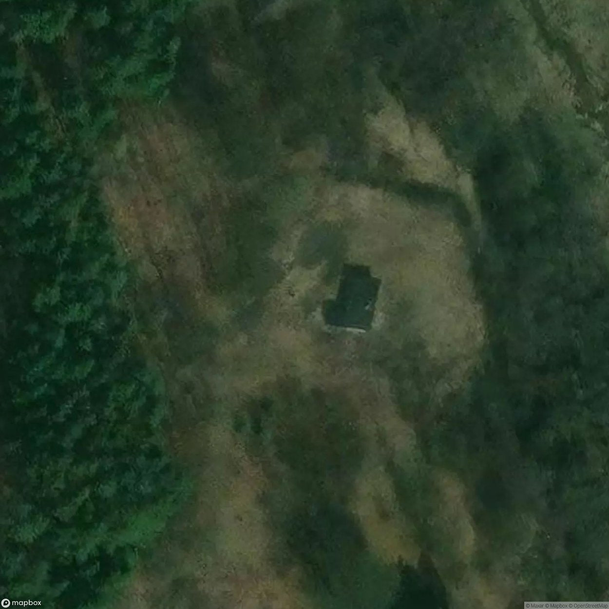 Site Cottage In The Woods With Graffiti [POL] #33962