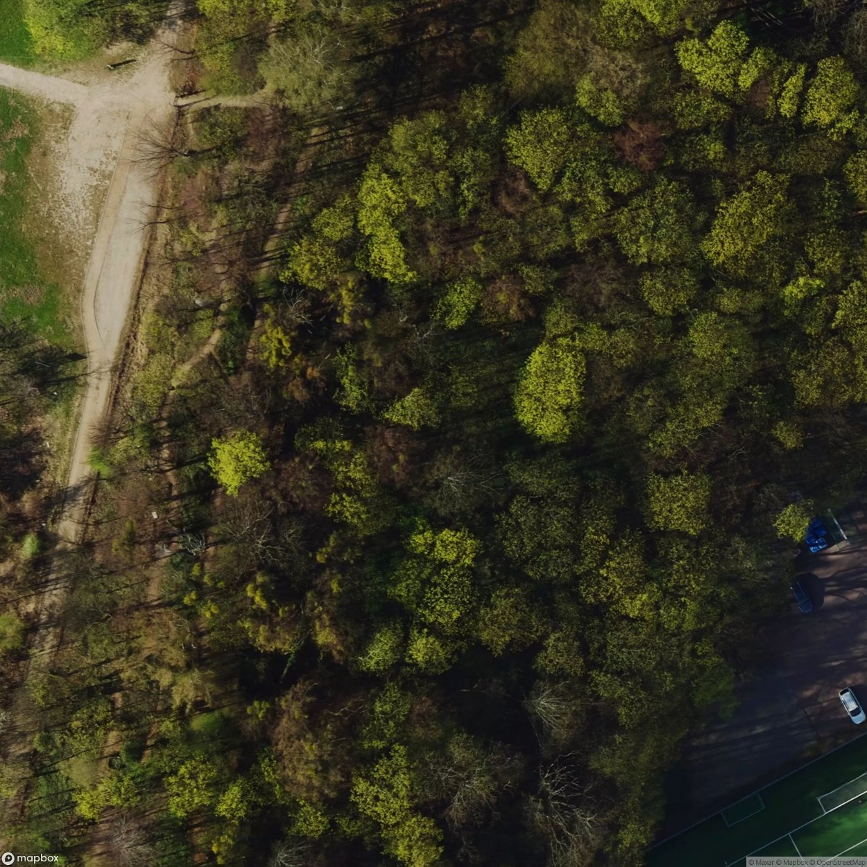 Historic Cemetery Gdansk Wrzeszcz [POL] #35857