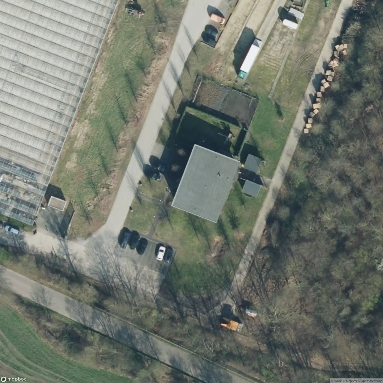 Organic Young Plants Wonderlich [DEU]