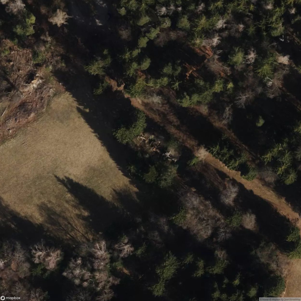 House 2664 [OTHER] [AUT]