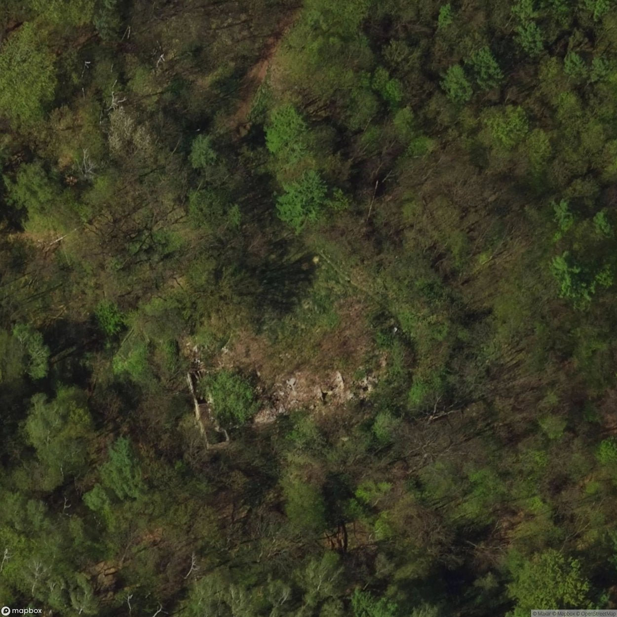 Wardzyn Site [POL] #33190