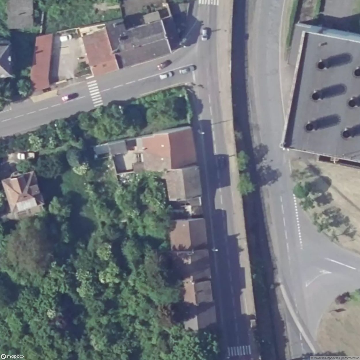 House Rabbit Carcass / House Rabbit Carcass [FRA]