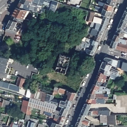 Scholarly Manor [FRA]