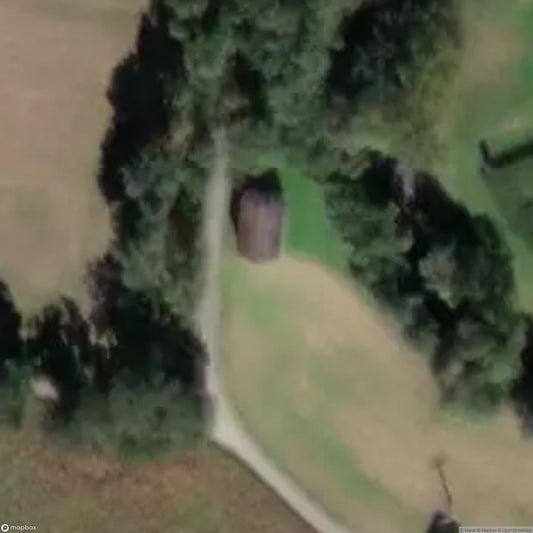 Little Girl's House / Little Girl's House [AUT]