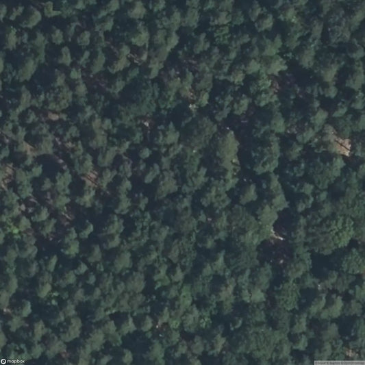 Windstein Artillery Casemate [FRA]