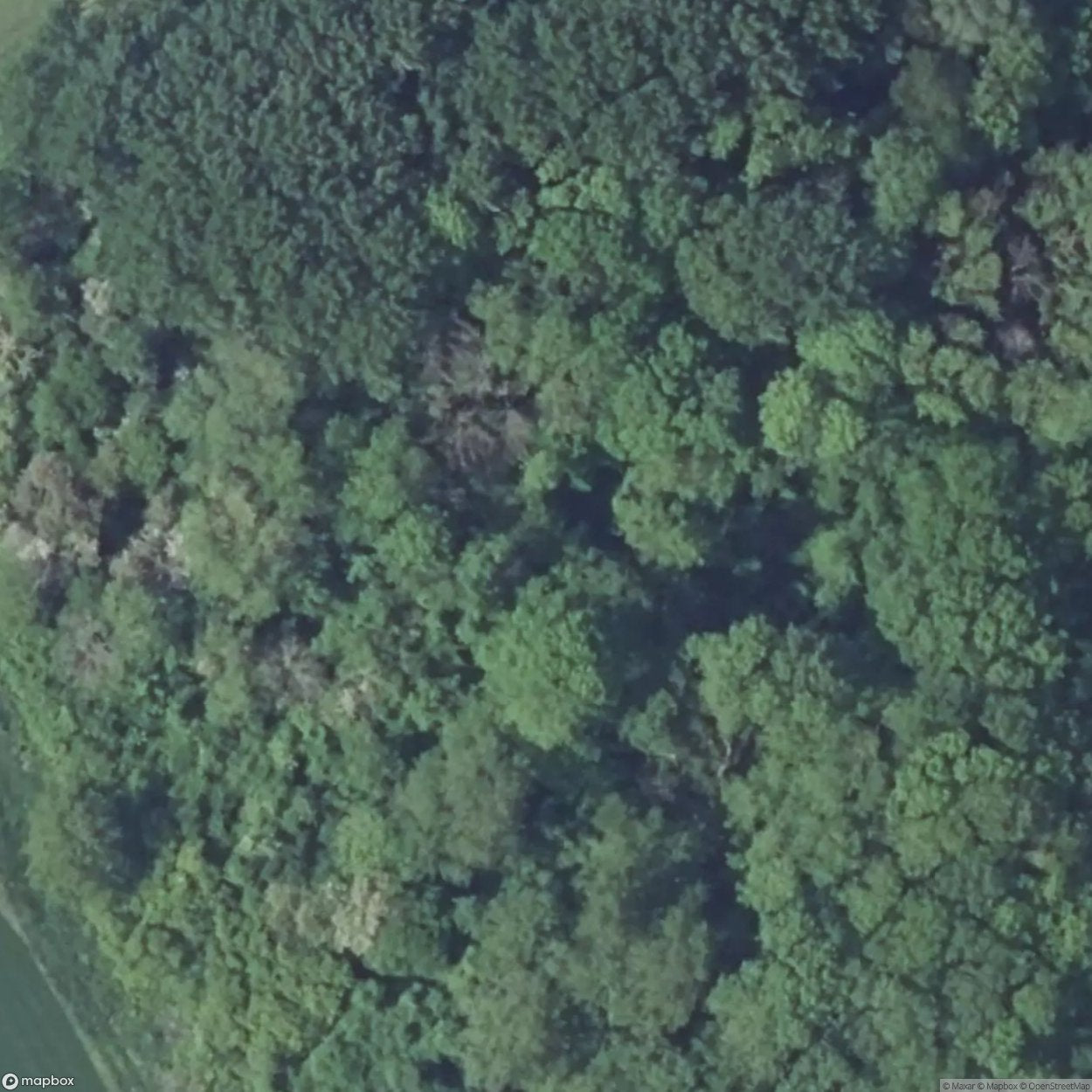 Hermitage Casemate [FRA]