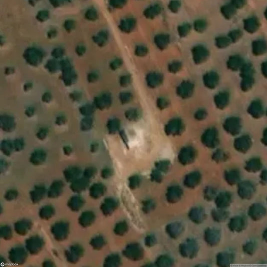 Crypt of the Madonna of the Grottella [ITA]