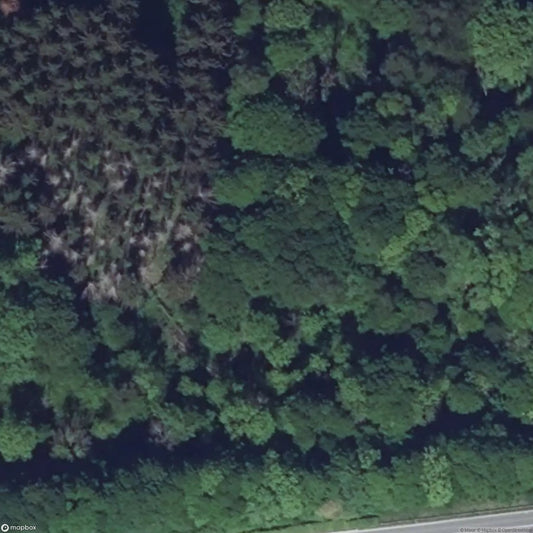 Schiesseck Fortification [FRA]