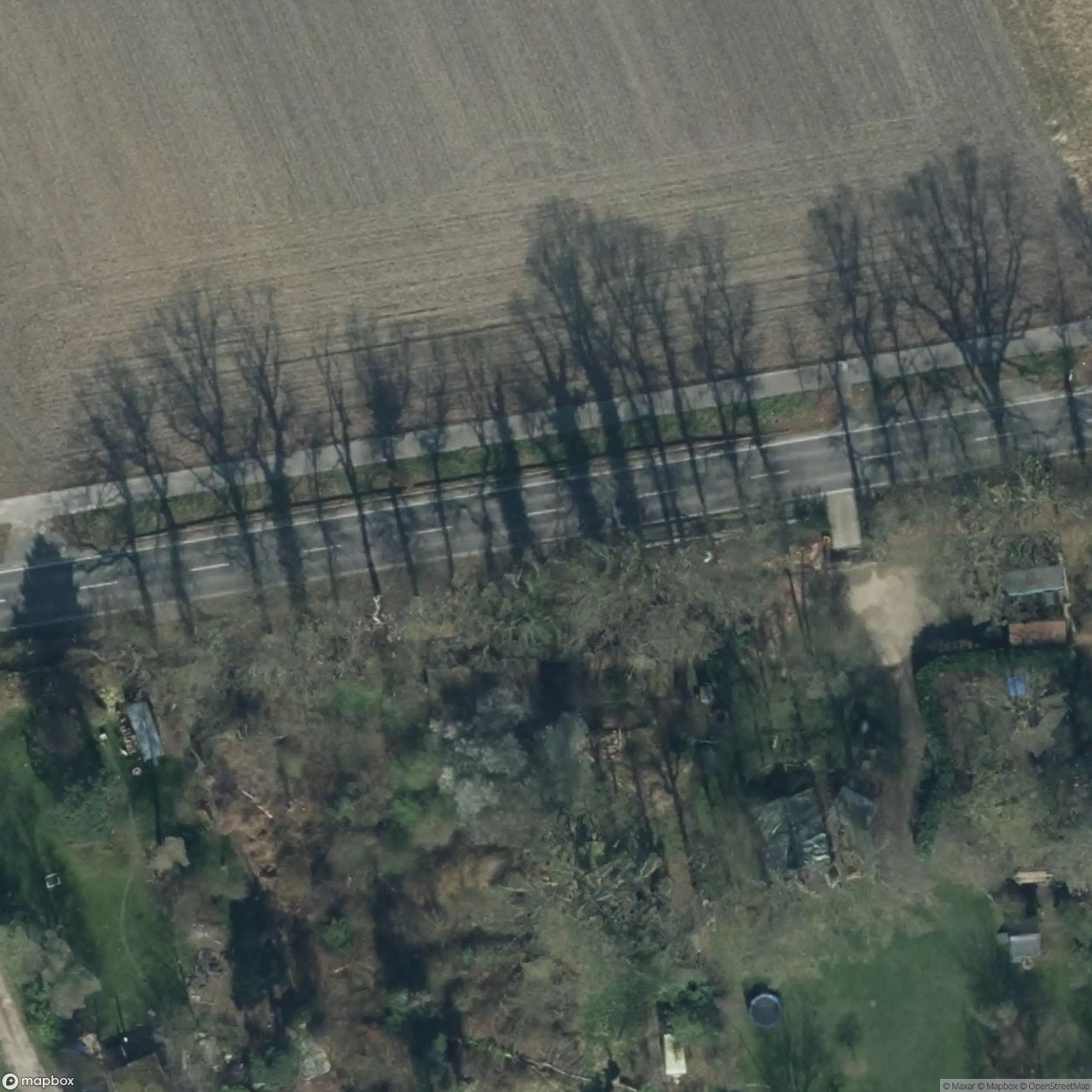 Field Bungalow [DEU]