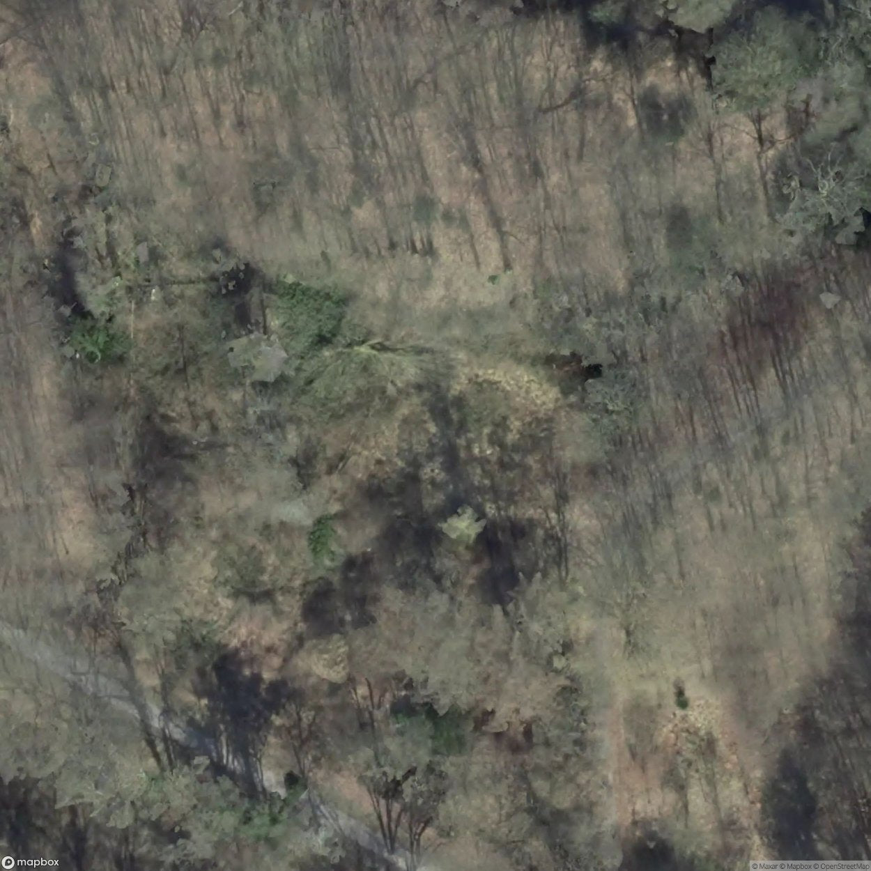 House Stiepler [DEU]