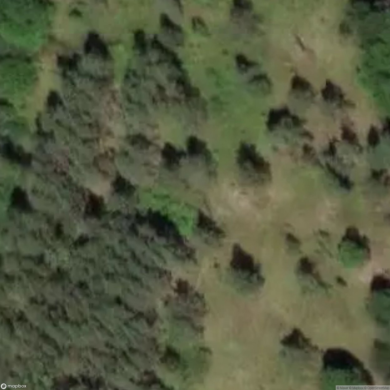 Hitlerâs Stadium Hill [DEU]