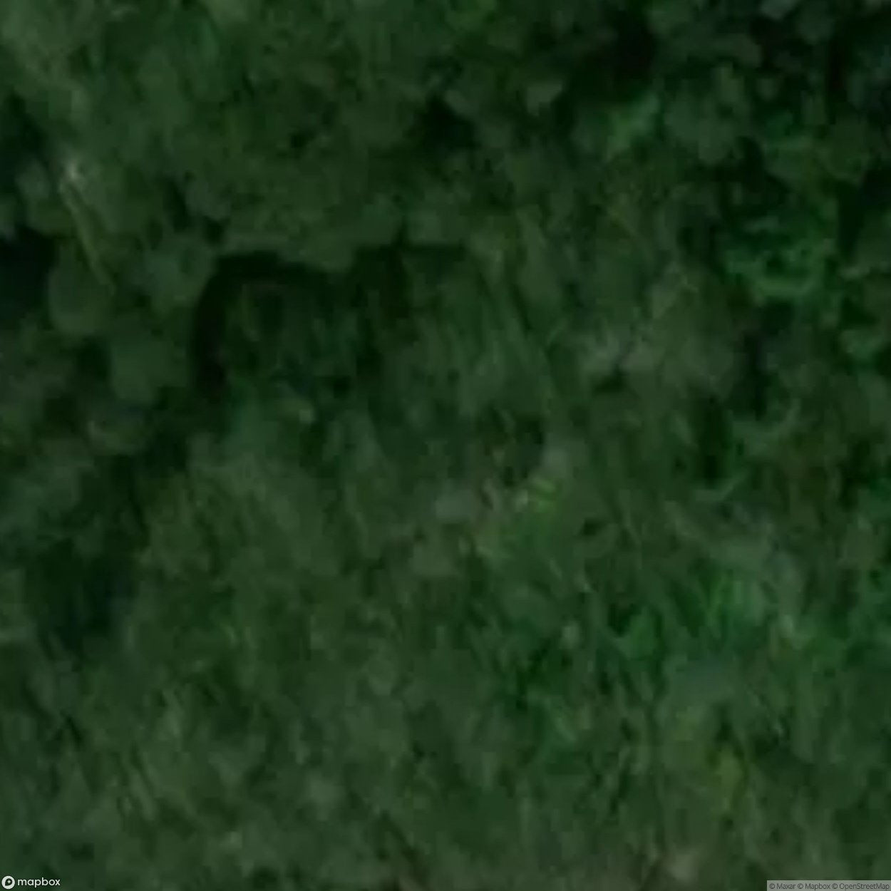 Temple of Thought (19th-century chapel ruins) [POL]