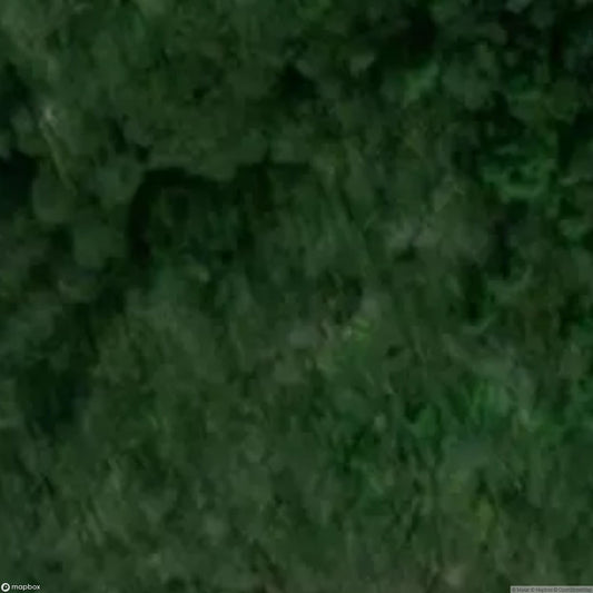 Temple of Thought (19th-century chapel ruins) [POL]