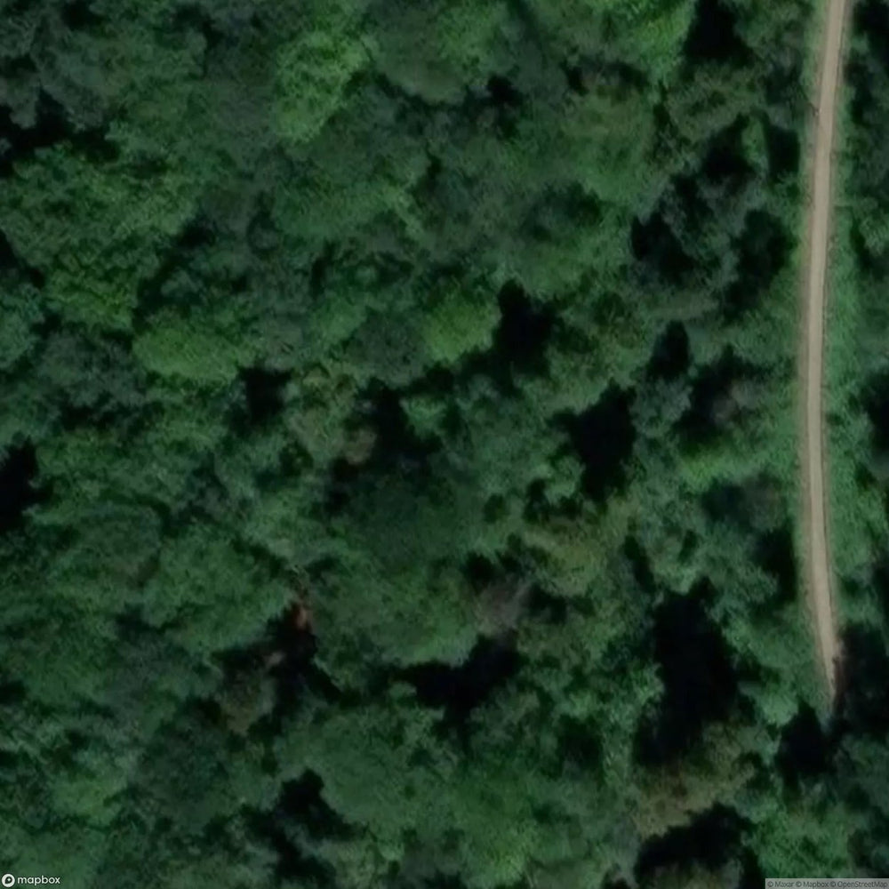 Lady Park Wood Iron Mines [GBR] #05967