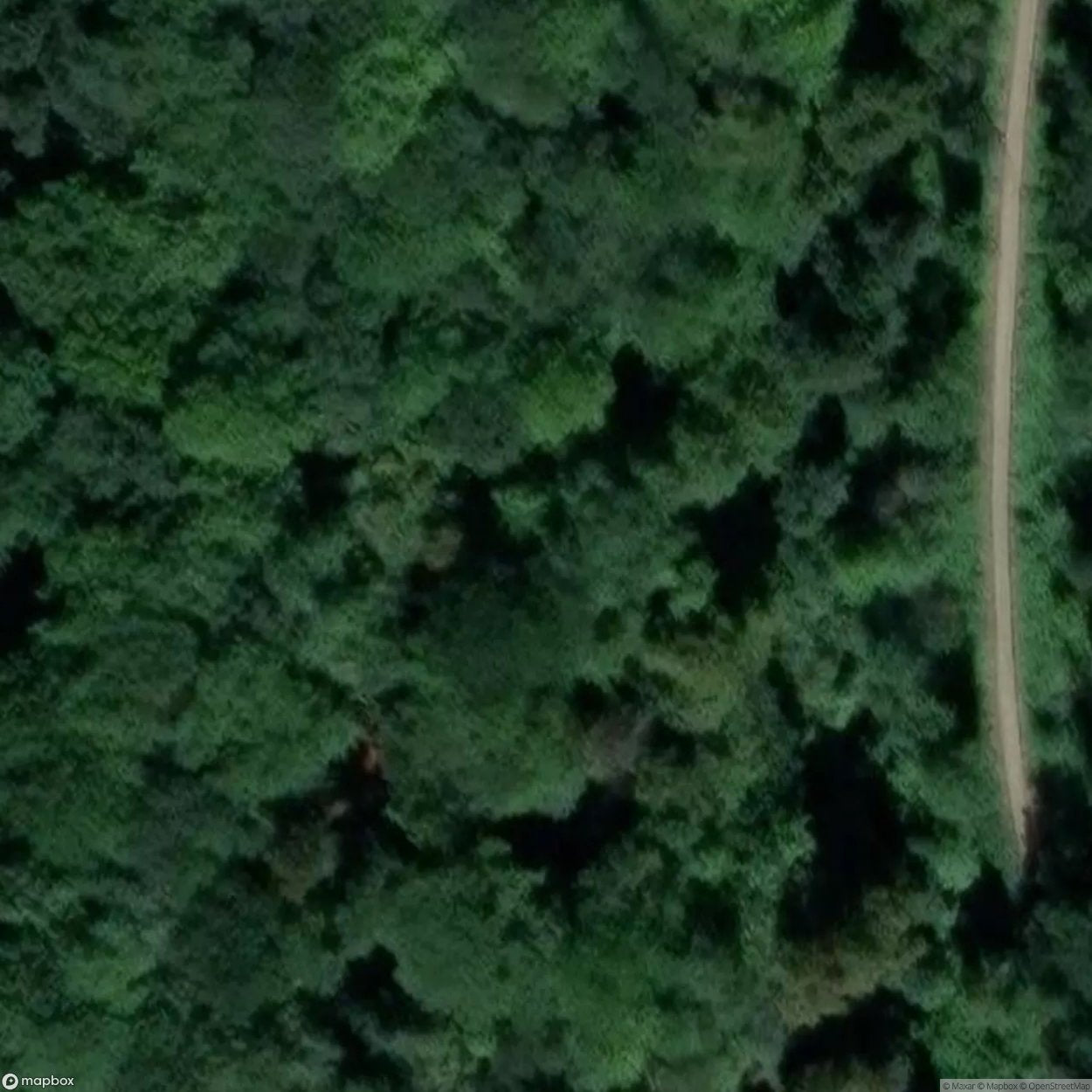 Lady Park Wood Iron Mines [GBR] #05967