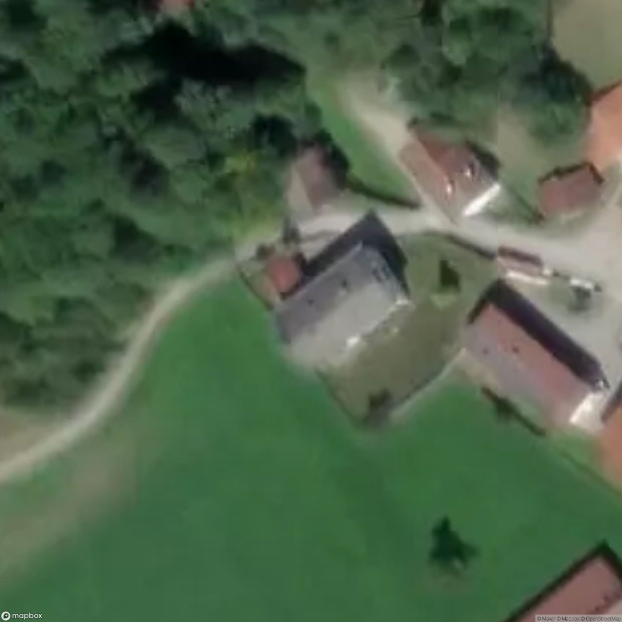 Primary School 2354 [AUT]