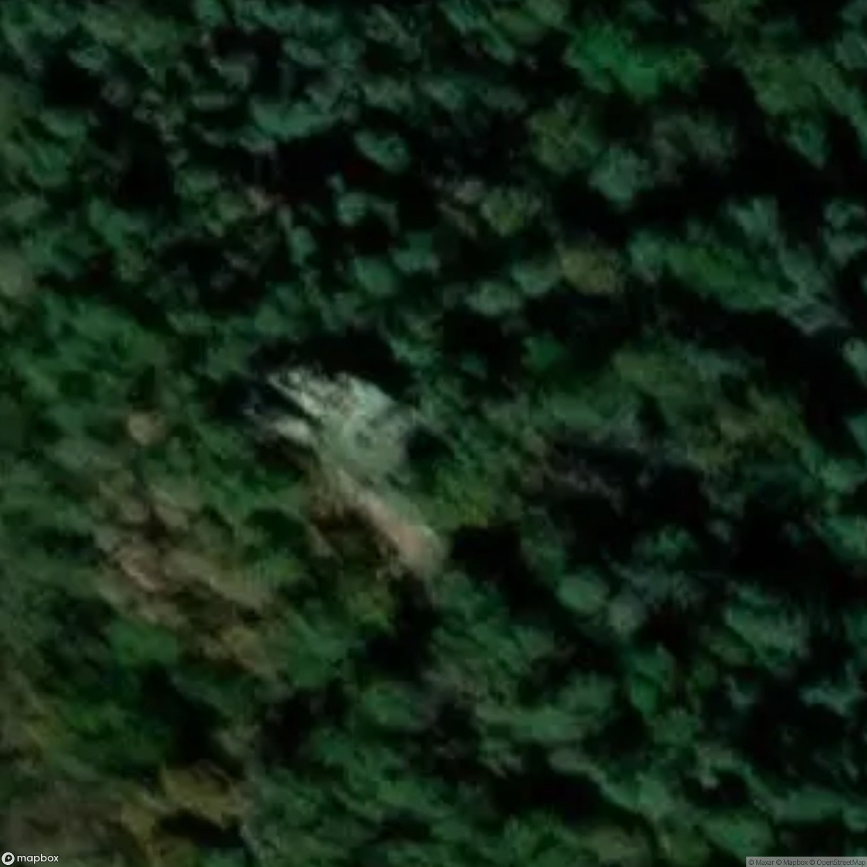 Glass Monk / Thorstein [DEU]