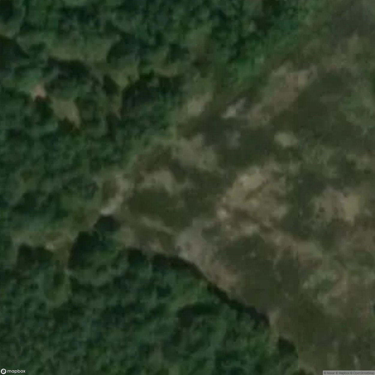 Training Area Sophienhof near Tangerhütte [DEU]