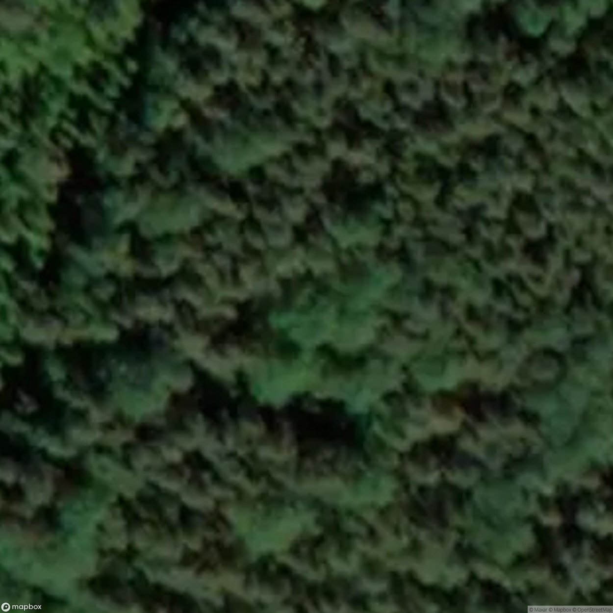 Forest Brothers Bunker [EST]