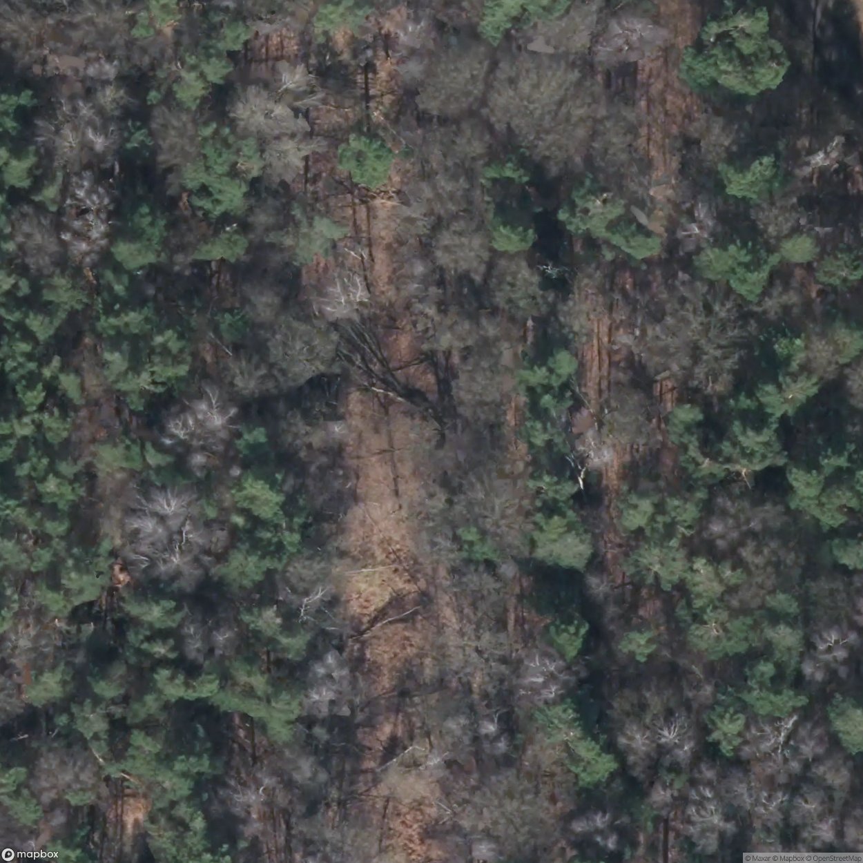 Shooting Stand 5 [DEU]