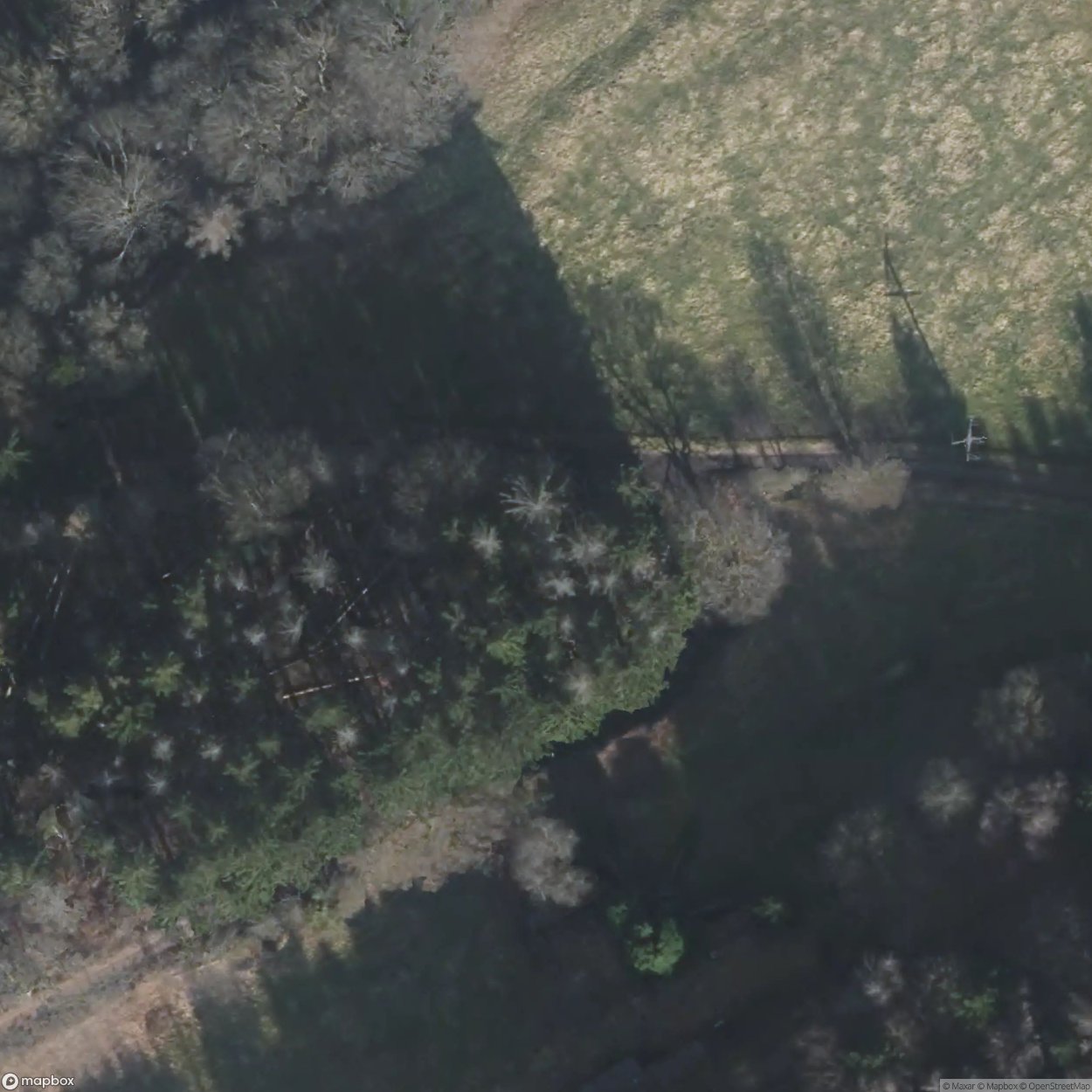 German Positions 2/11 [DEU]