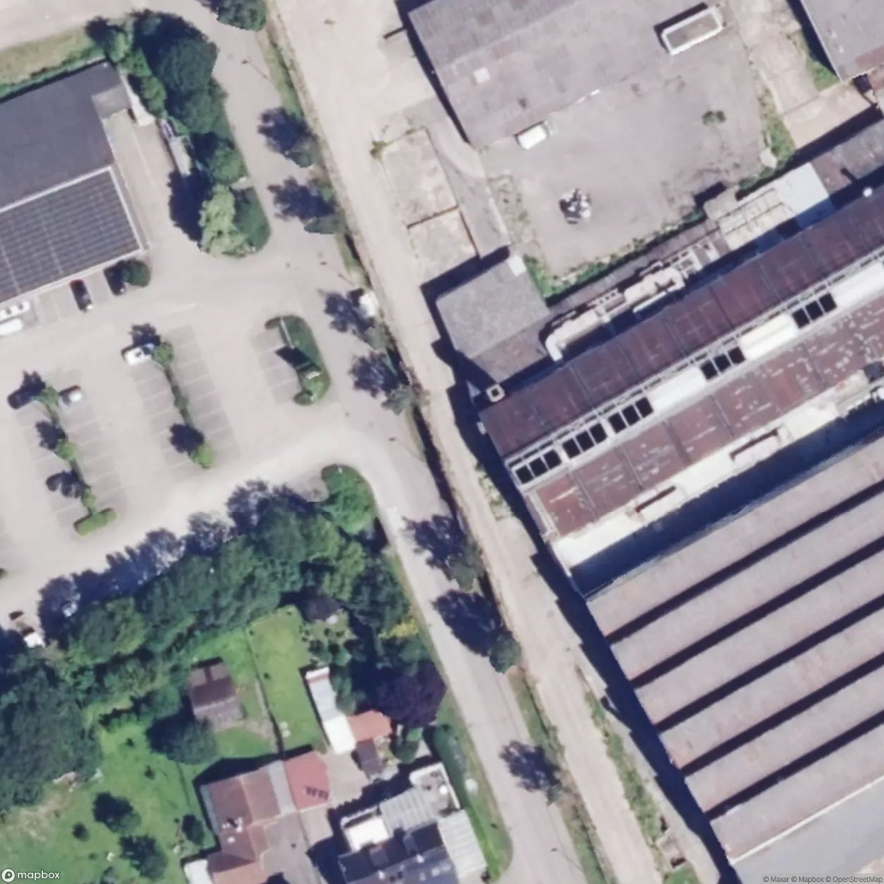 Plant Salzach [DEU] #06221