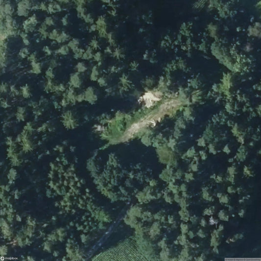 Schlossruine [DUI]