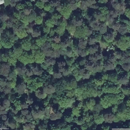 Maginot Line - Fort Schiesseck [FRA]