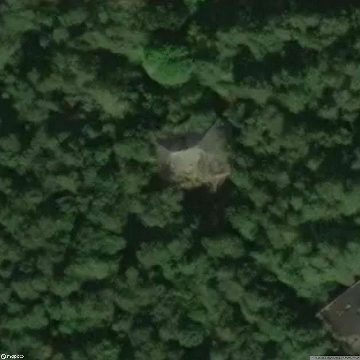 Institute for Nervous and Mentally Ill Jews Zofiówka [POL]