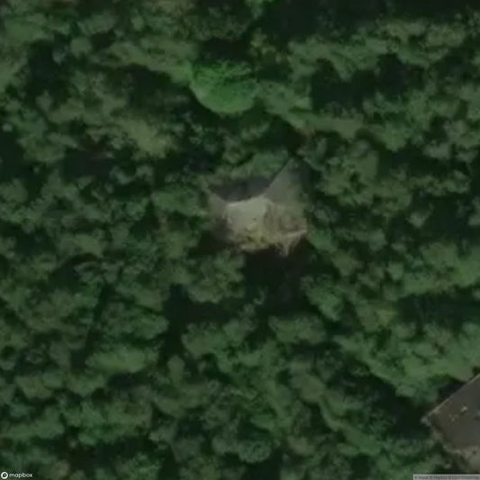 Institute for Nervous and Mentally Ill Jews Zofiówka [POL]