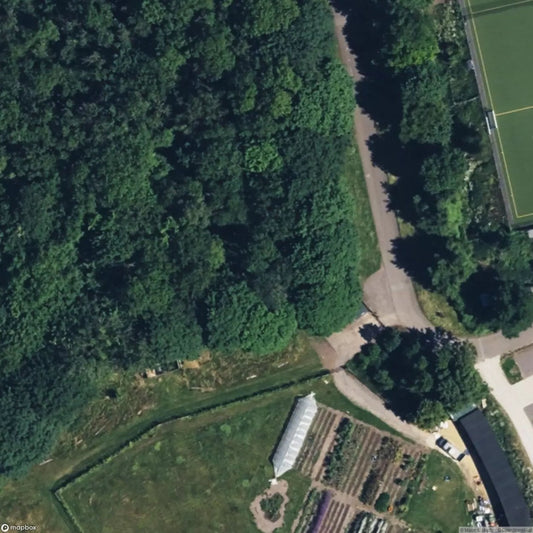 St Winifreds Quarry [GBR]