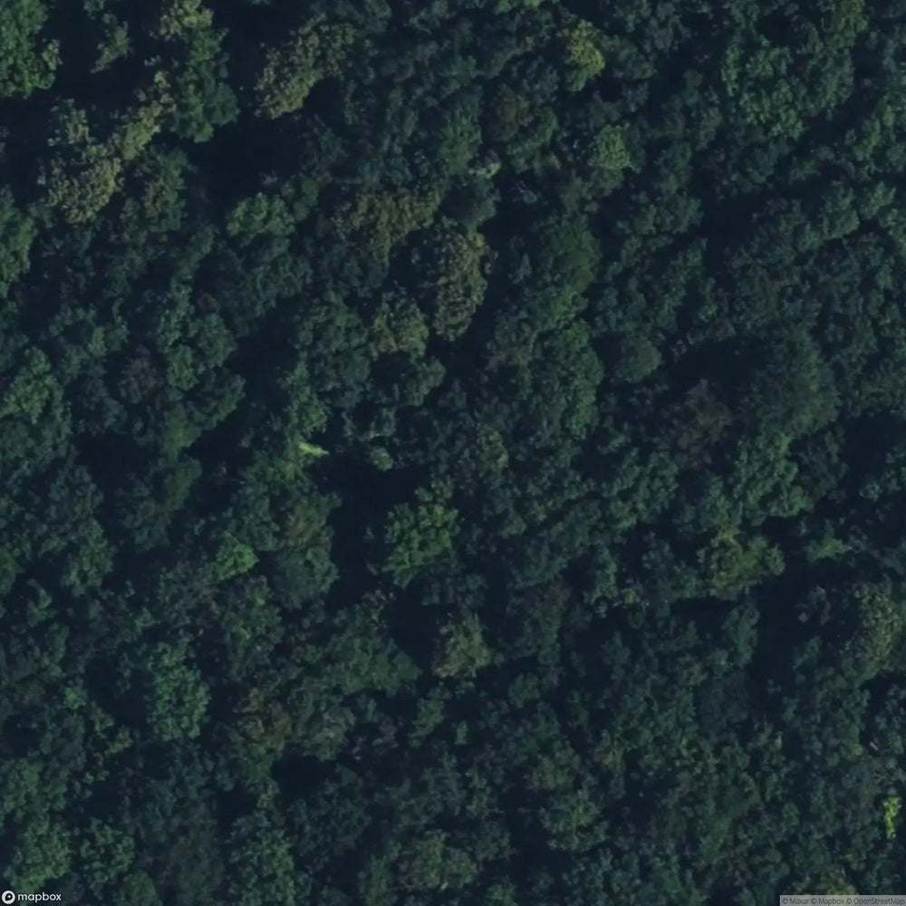 Knowle Wood Mine [GBR] #05921