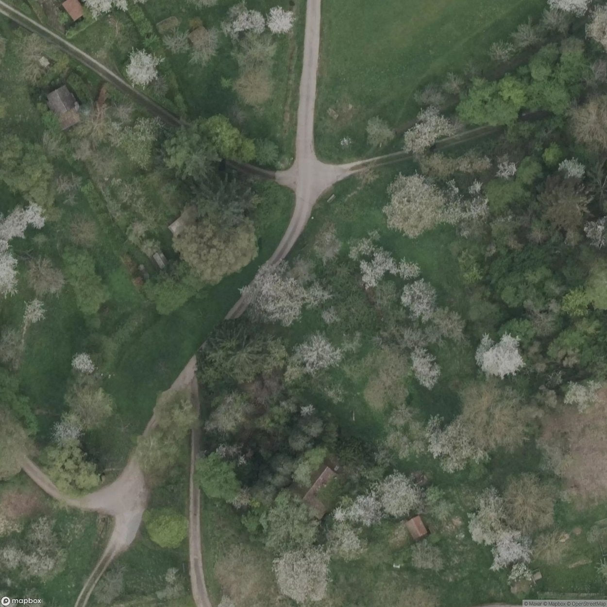 House Grünbach [DEU]